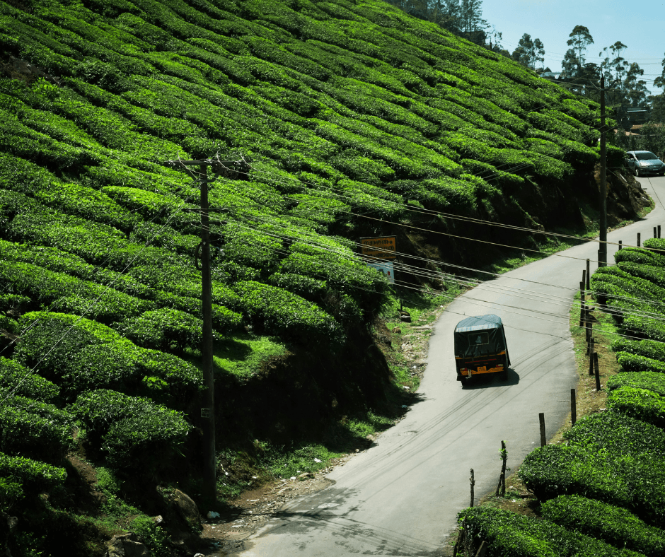 Vagamon Group Tour