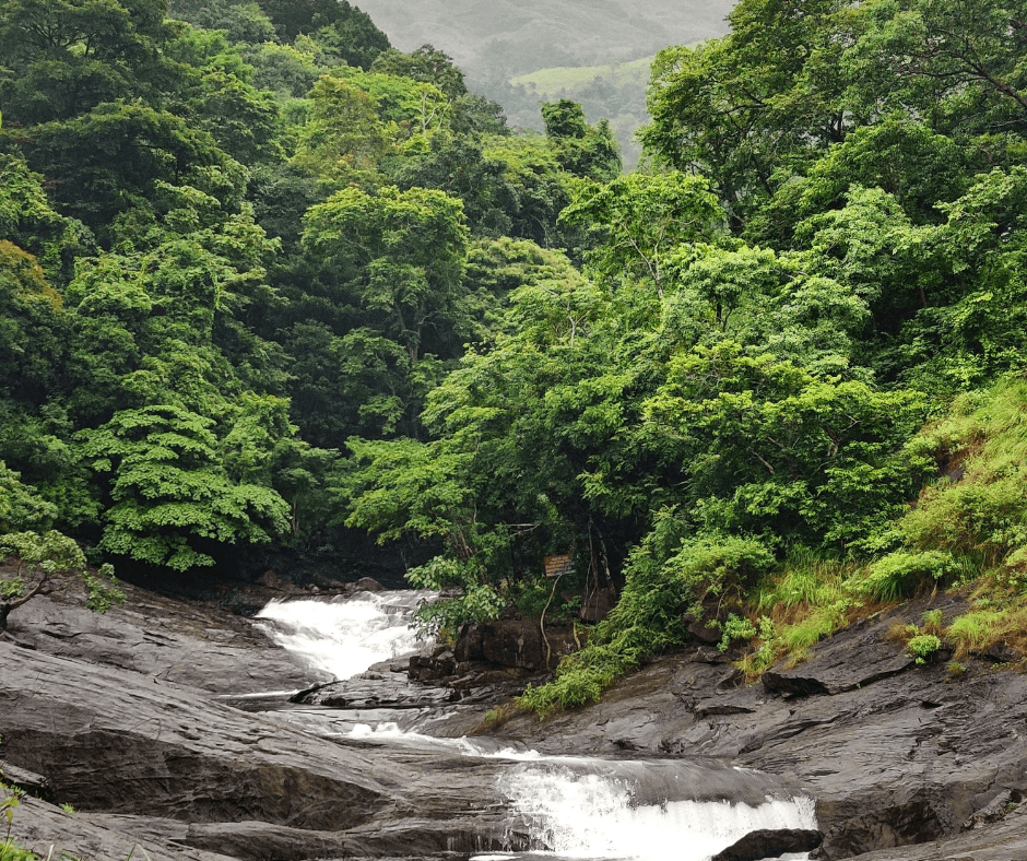 Valara Waterfalls, Munnar