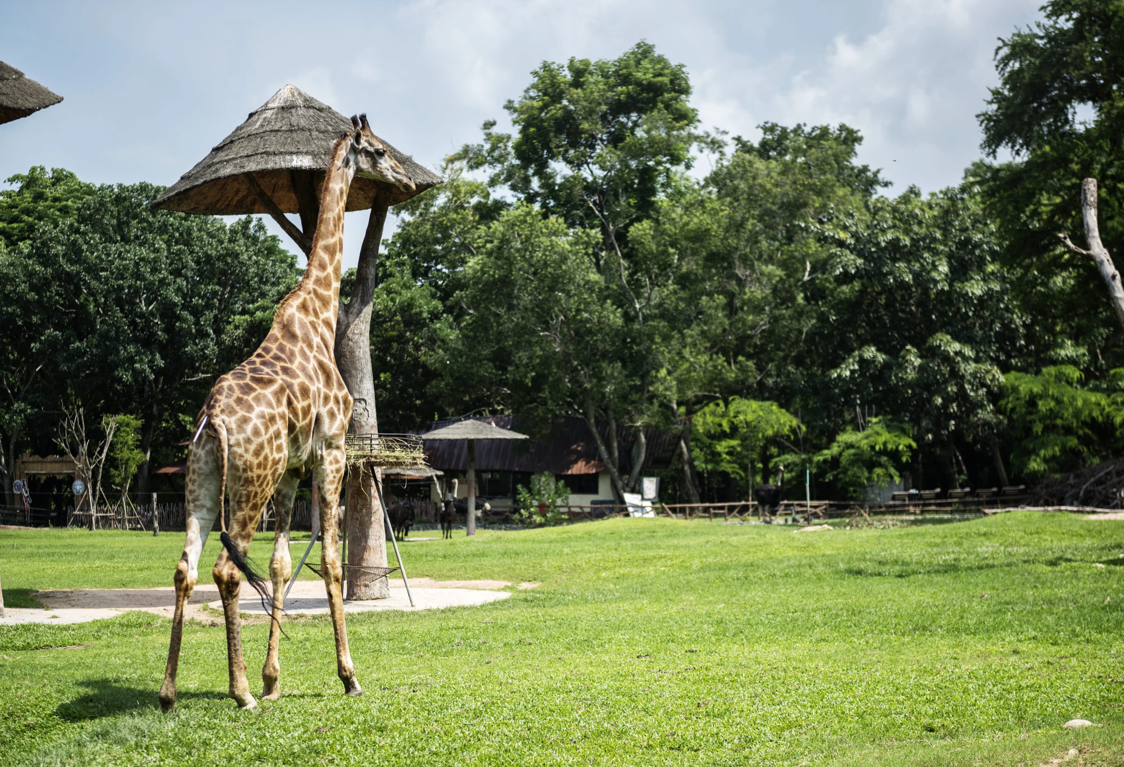 Safari World, Thailand