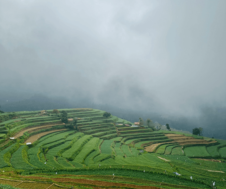 Upper Lake View, Kodaikanal