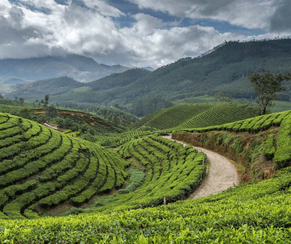 Moier Point, Kodaikanal
